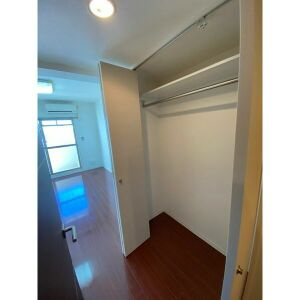 ダ・ヴィンチコートの収納