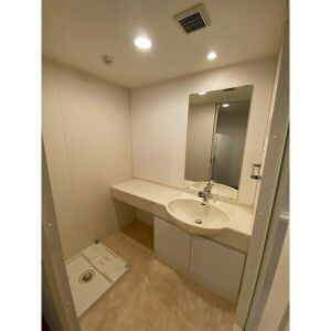 ダ・ヴィンチコートの洗面所