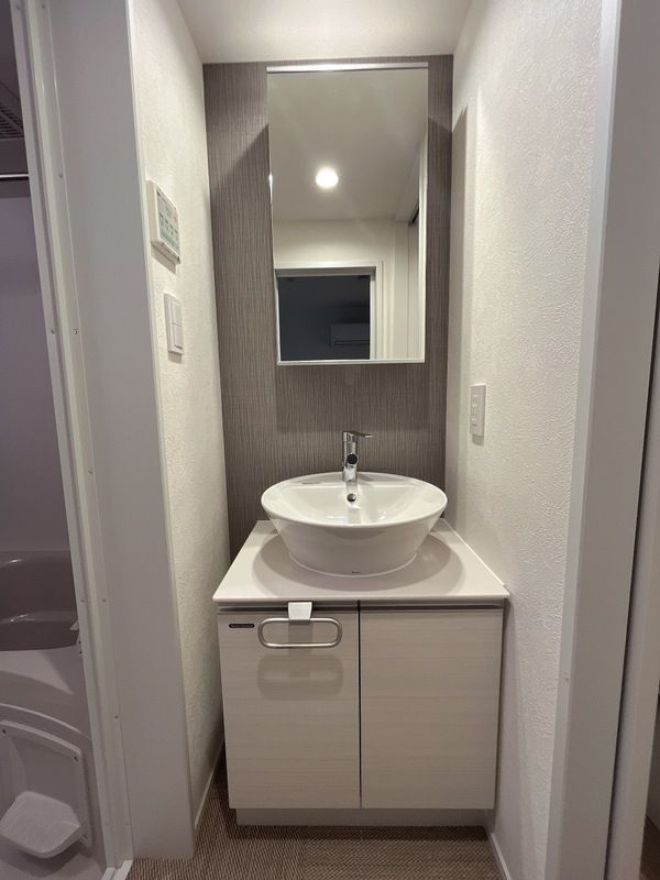 ルシェル葛西の洗面所