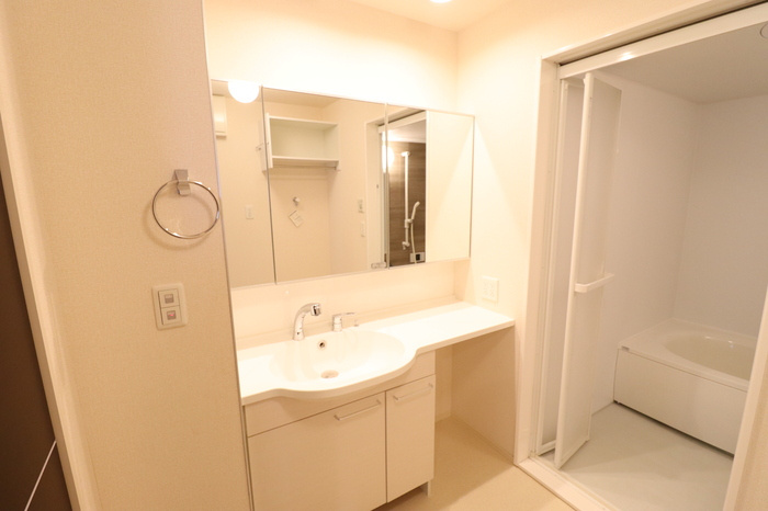 熊本市南区田井島３丁目のアパートの洗面所