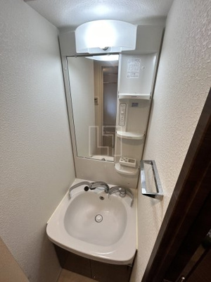 【独立洗面台】 | ミラージュパレス上本町 | ミラージュパレス上本町　独立洗面化粧台