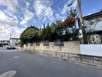 ＊更地渡し＊野比二丁目売地の画像