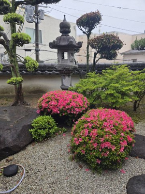 【庭】 | 禁野本町2丁目（古民家住宅＋店舗）