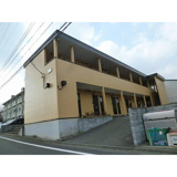 アムール琴(アムールコト)の画像