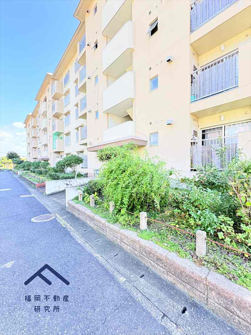 奈多団地24号棟のその他