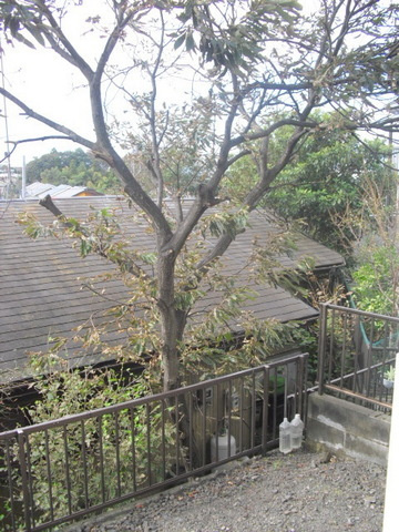 シティハイム　ハイムイサムのその他