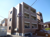 プラムファインの画像