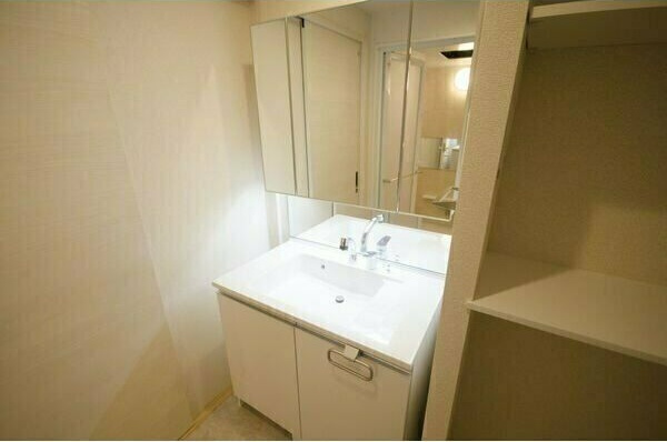 桜山カーザの洗面所