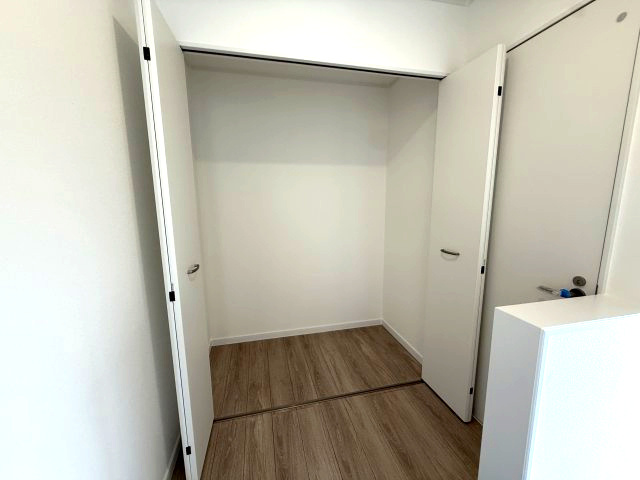 新規内外装フルリノベーション　スーパーマーケット徒歩4分の収納|大型収納