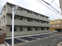 エスタシア光の画像