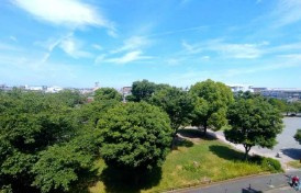 ロイヤルシャトー入船公園の展望