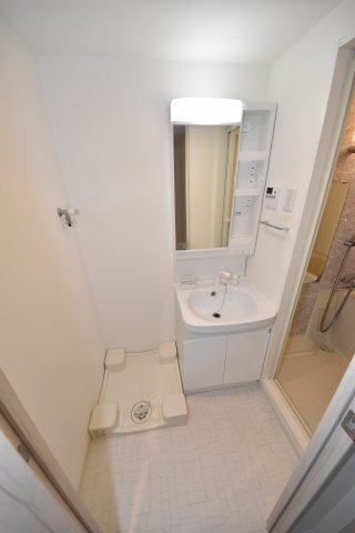 エスレジデンス南堀江の洗面所