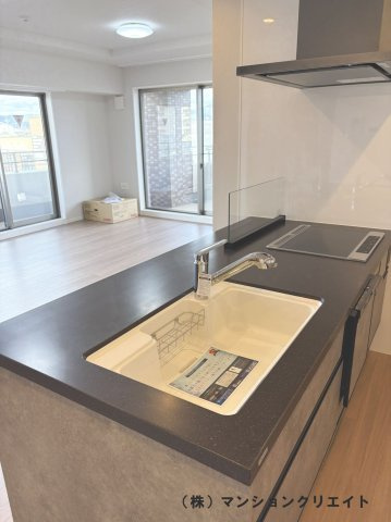 ビブレ高木（分譲ガレージ付き）のキッチン