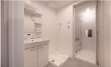 【洗面所】 | アザーレキュリオス中央林間(アザーレキュリオスチュウオウリンカン) | 同メーカー施工例