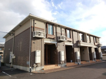 プラシード　コルソの画像