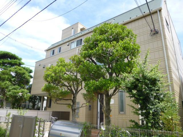 メイプル　コート　駒沢の外観|建物外観を気になさる方へ、見た目の良い物件です