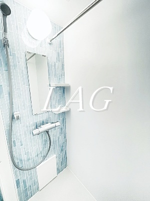 【シャワールーム】 | ディアプラザ根津 | シャワールームです。