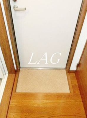 【玄関】 | アーバンプレイス駒込ドゥエル | 玄関です。