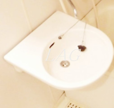 【洗面所】 | ウィズ府中レジデンス | 洗面台です。