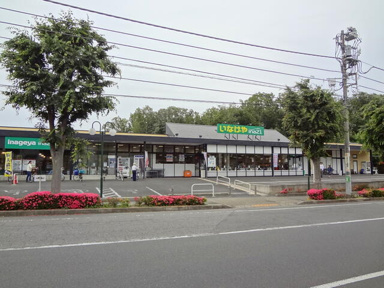いなげやｉｎａ２１国…まで208m
