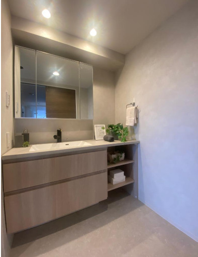 ワコーレ神戸本山ガーデンズの洗面所