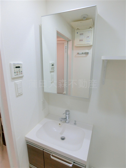 ブライズ大森東SEIの洗面所