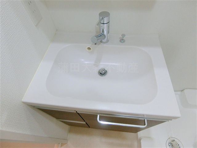 ブライズ大森東SEIの洗面所