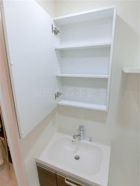 ブライズ大森東SEIの洗面所