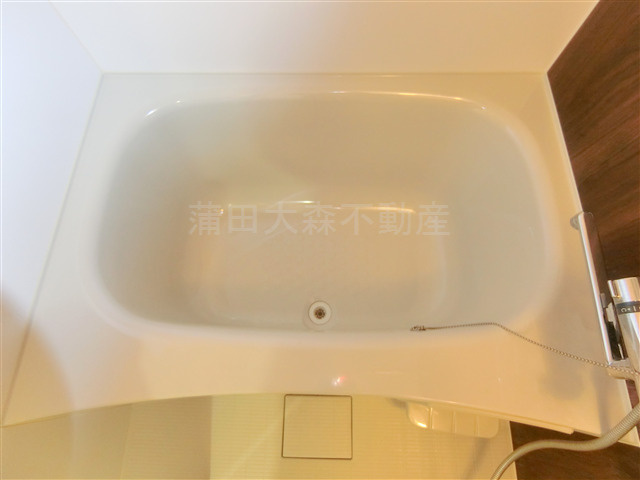 ブライズ大森東SEIの浴室