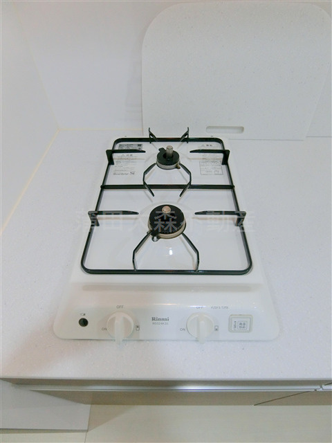 ブライズ大森東SEIのキッチン