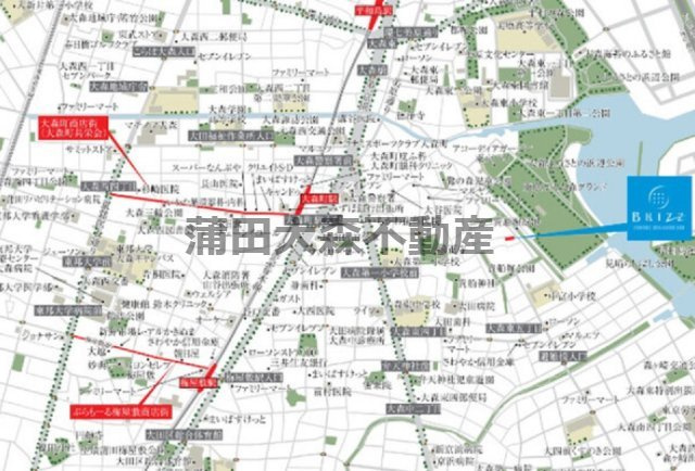 ブライズ大森東SEIの地図