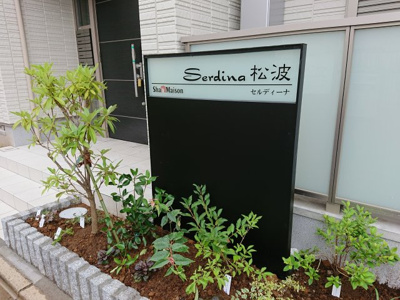 【その他】 | セルディーナ松波