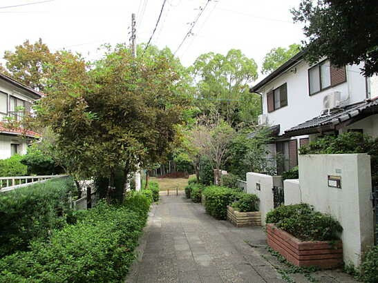 【前面道路含む現地写真】