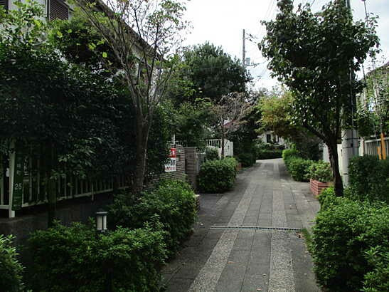 【前面道路含む現地写真】