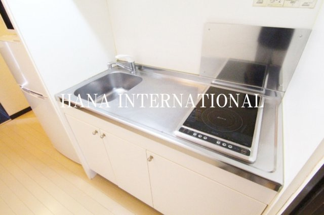 レオネクストワイケージーのキッチン