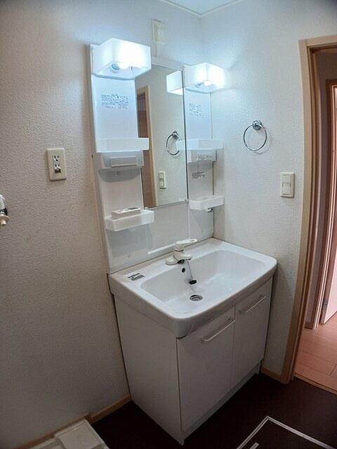 グリーンウッドⅢの洗面所