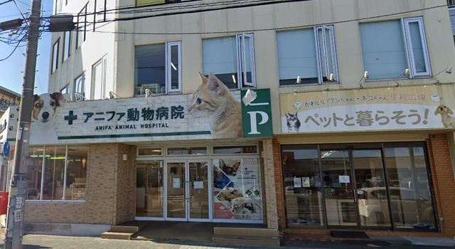 フォーシーズンのその他|アニファ動物病院