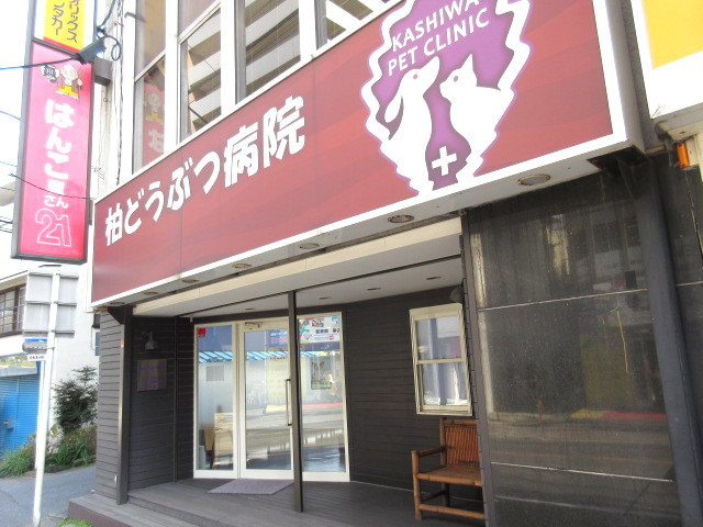 フォーシーズンのその他|柏どうぶつ病院