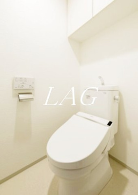 【トイレ】 | ＤＩＰＳ東十条駅前ＰＲＥＭＩＵＭ | トイレです。