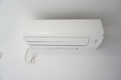 【その他】 | キャメルWARABI