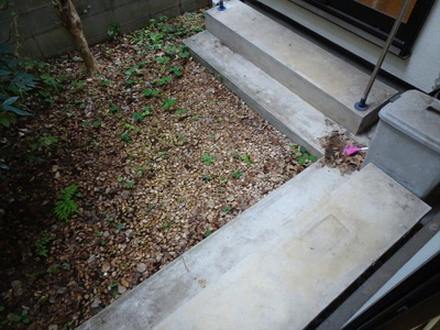 【庭】 | 西原コーポ