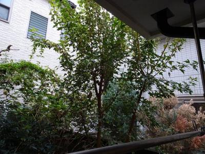 【展望】 | 西原コーポ