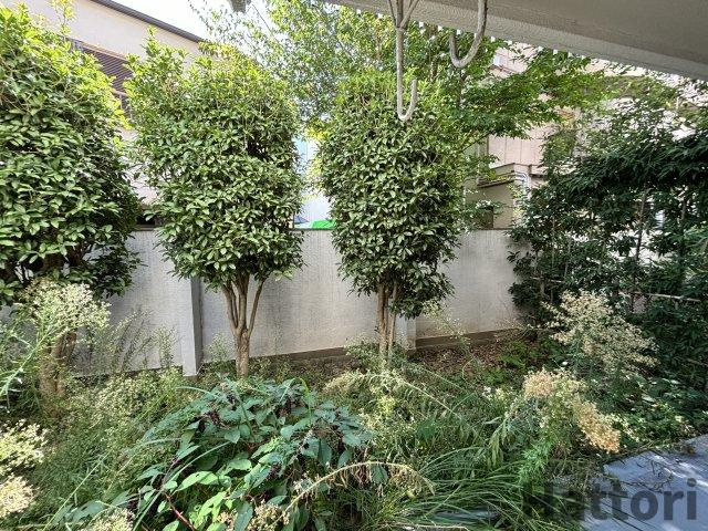 シャンティー豊中の展望