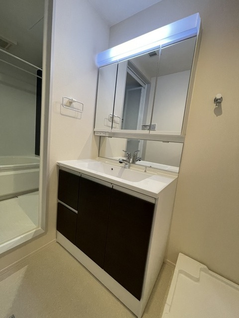 シャルマンの洗面所