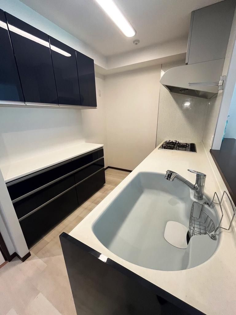 ダイアパレス学芸大学Ⅱ