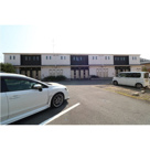 アムールアミュレットの画像