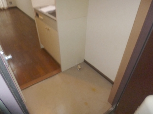 青柳ビルの玄関|玄関スペースに洗濯機置場あります！