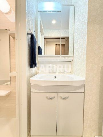 Luxe玉造南の洗面所