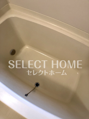  | フォアサイトB