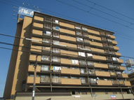 サンライズ御瑞宝1の画像